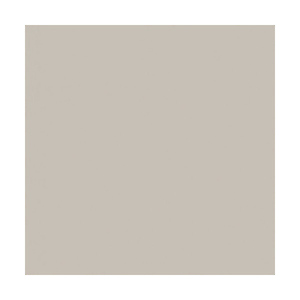 Widetone Seamless Background Paper (#12 Studio Gray, 107 In. x 36 ft.)