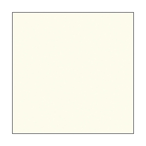Widetone Seamless Background Paper (#50 White, 107 In. x 36 ft.)