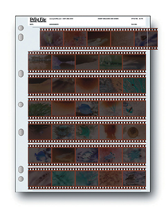 35-7B 35mm Negative Pages (Package of 25)