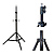 6ft Standard Light Stand