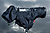 Hydrophobia Rain Cover 300-600 V2.0 (Black)