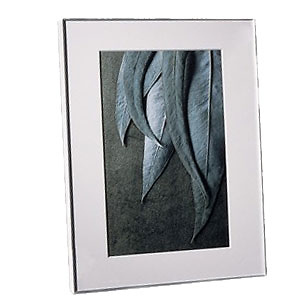 Fineline Frame 11X17 (Black) Image 0