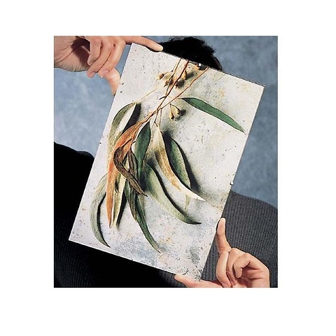 Frameless Glass Clip Picture Frame for a 16x20 Photograph, Chrome Image 0