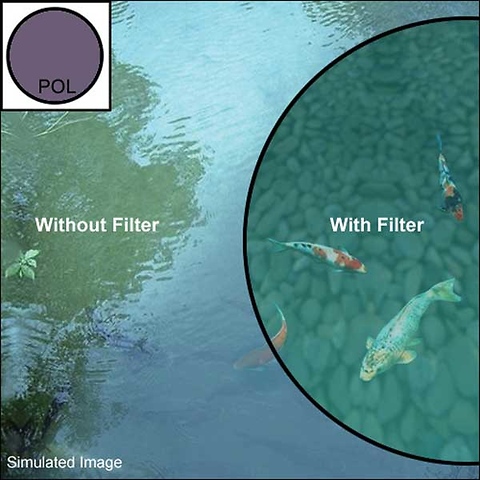 37mm Circular Polarizer Single Coated Filter Image 1