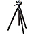 Pro 700 DX Tripod with 700DX 3-Way, Pan-and-Tilt Head (Black)