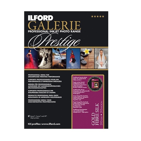 Galerie Prestige Gold Fiber Silk Paper (13 x 19 in. - 50 Sheets) Image 0