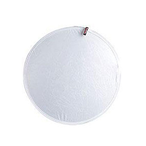 Mini Litedisc 12 in. (White/SunLite) Image 0