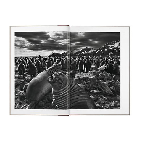 Salgado's Masterpiece GENESIS - Earth Eternal - Hardcover Book Image 2