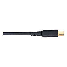 N-MCDC2-ACC-1 Pre-Trigger Remote 1ft. Cable Image 0