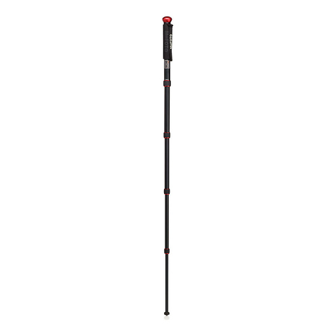 WalkAbout Monopod (Titanium) Image 2