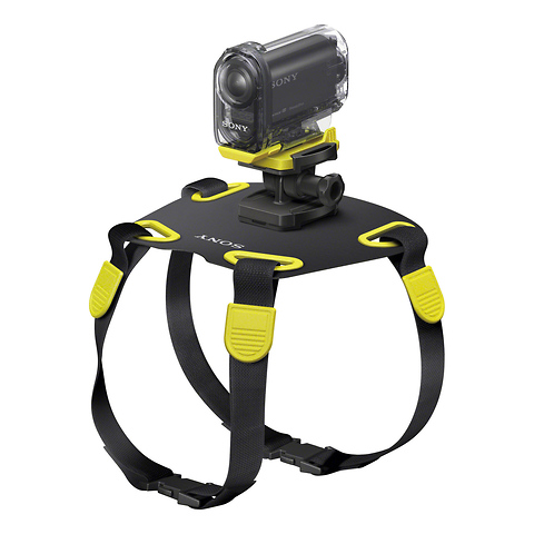 Dog Mount for Action Cam Image 2