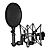 SM6 Shock Mount with Detachable Pop Filter