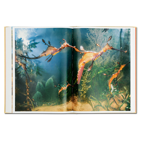 National Geographic Around the World in 125 Years - Hardcover Image 5