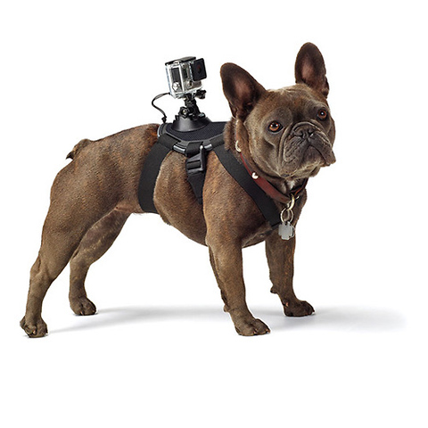 Fetch (Dog Harness) Image 4