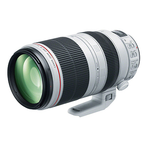 EF 100-400mm f/4.5-5.6L IS II USM Lens