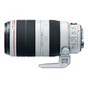 EF 100-400mm f/4.5-5.6L IS II USM Lens Thumbnail 1