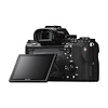 Alpha a7II Mirrorless Digital Camera Body Thumbnail 7