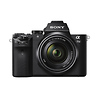 Alpha a7II Mirrorless Digital Camera with FE 28-70mm f/3.5-5.6 OSS Lens and FE 85mm f/1.8 Lens Thumbnail 1