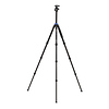 TMA28AB2 Series 2 Mach3 Aluminum Tripod with B2 Ball Head Thumbnail 1