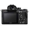 Alpha a7R II Mirrorless Digital Camera Body Thumbnail 9