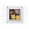 1414 BeSquare Floating Acrylic Frame (14 x 14