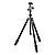 Series 1 Traveler Carbon Fiber Tripod with Center Ball Head