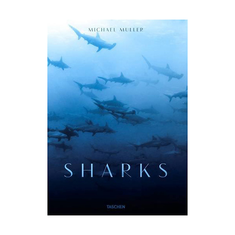Sharks by Michael Muller - Hardcover Book Image 0