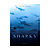 Sharks by Michael Muller - Hardcover Book