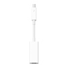 Thunderbolt to Firewire Adapter Thumbnail 0