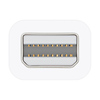 Thunderbolt to Firewire Adapter Thumbnail 1