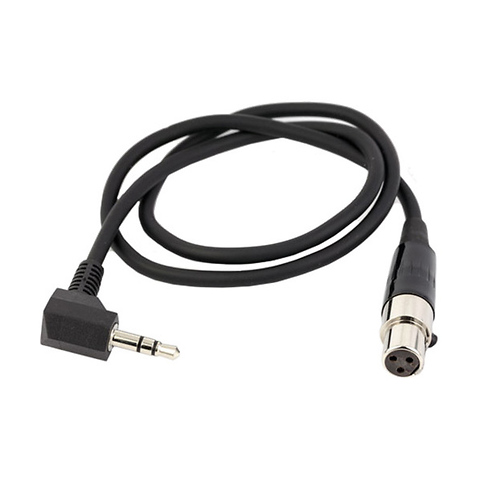 Audio Patch Cord for LR Receiver with 1/8 TRS Camera Input (20 In.) Image 0