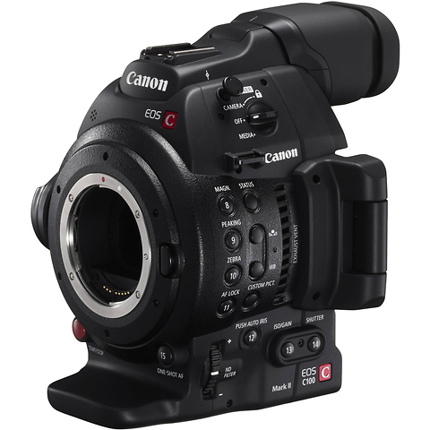 EOS C100 Mark II Wedding/Documentary Kit Image 8