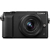 Lumix DMC-GX85 Mirrorless Micro Four Thirds Digital Camera with 12-32mm Lens, 45-150mm Lens Kit (Black), and DMW-ZSTRV Battery & Charger Travel Pack Thumbnail 2