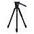 BV6 Aluminum Video Tripod Kit