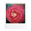 Color Instant Film for 600 (White Frame, 8 Exposures) Thumbnail 3