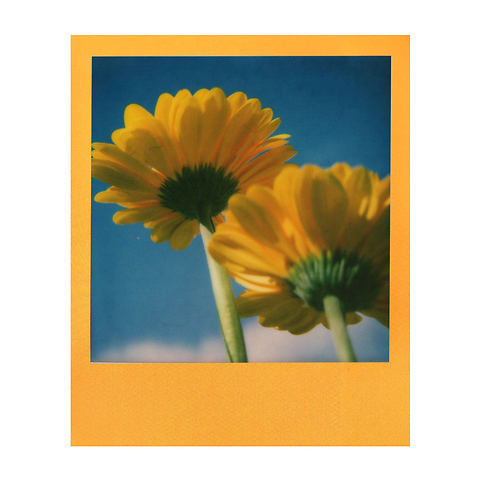Color Instant Film for 600 (Color Frame, 8 Exposures) Image 1