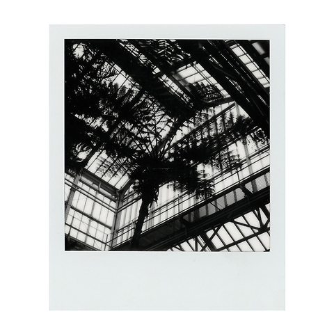 B&W Instant Film for SX-70 (White Frame, 8 Exposures) Image 2