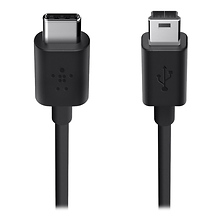 USB 2.0 Type-C to Mini-USB Type-B Charge Cable (6 ft. Black) Image 0