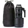 SP 150-600mm f/5-6.3 Di VC USD G2 Lens for Nikon Thumbnail 6