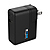 Supercharger (International Dual-Port Charger)