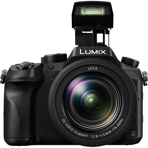Lumix DMC-FZ2500 Digital Camera Image 3