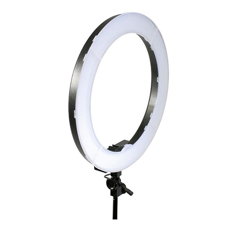 LED Ring Light (19 In.) Image 7