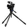 C373F Series 3 Carbon Fiber Video Tripod & BV6 Head Thumbnail 5