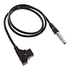 Motor Power Cable for Focus (29.5 in.) Thumbnail 1