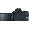 EOS Rebel SL2 Digital SLR Body Thumbnail 2