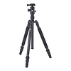 T-004X Aluminum Tripod with C-10S Ball Head (Black) Thumbnail 0