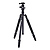 T-004X Aluminum Tripod with C-10S Ball Head (Black)