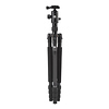 T-004X Aluminum Tripod with C-10S Ball Head (Black) Thumbnail 3