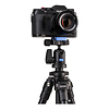 Slim Aluminum-Alloy Tripod with Ball Head Thumbnail 7