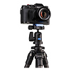 Slim Carbon-Fiber Tripod with Ball Head Thumbnail 7